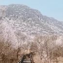 北京旅游 缩略图 1