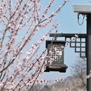 北京旅游 缩略图 2