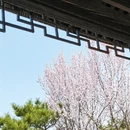 北京旅游 缩略图 4