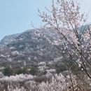 北京旅游 缩略图 9