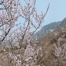 北京旅游 缩略图 6