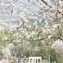北京旅游 缩略图 8
