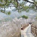 北京旅游 缩略图 7