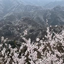 北京旅游 缩略图 3