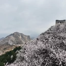 北京旅游 缩略图 4