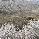 北京旅游 缩略图 8