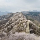 北京旅游 缩略图 5