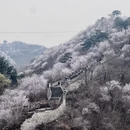 北京旅游 缩略图 2