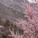 北京旅游 缩略图 2