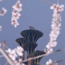 北京旅游 缩略图 1