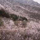 北京旅游 缩略图 1