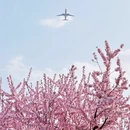 北京旅游 缩略图 4