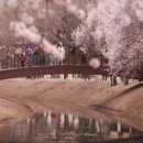 北京旅游 缩略图 5