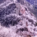 北京旅游 缩略图 5