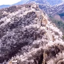 北京旅游 缩略图 2