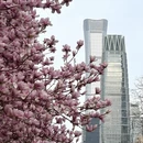 北京旅游 缩略图 2