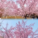 北京旅游 缩略图 6
