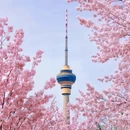 北京旅游 缩略图 2