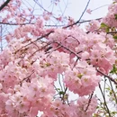 北京旅游 缩略图 12