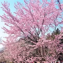 北京旅游 缩略图 11