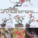 上海旅游 缩略图 3