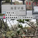 上海旅游 缩略图 6