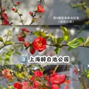 上海旅游 缩略图 4