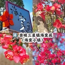 上海旅游 缩略图 5