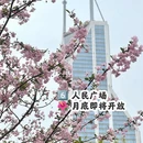 上海旅游 缩略图 7