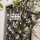 上海旅游 缩略图 8