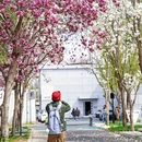 北京旅游 缩略图 1