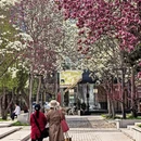 北京旅游 缩略图 3