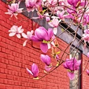 北京旅游 缩略图 4