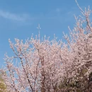 北京旅游 缩略图 5