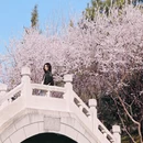 北京旅游 缩略图 2