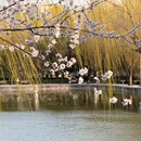 北京旅游 缩略图 3