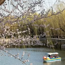 北京旅游 缩略图 6
