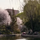 北京旅游 缩略图 8