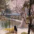 北京旅游 缩略图 7