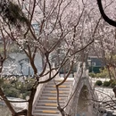北京旅游 缩略图 10