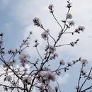 北京旅游 缩略图 7