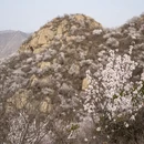 北京旅游 缩略图 5