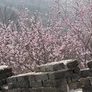 北京旅游 缩略图 2