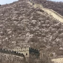 北京旅游 缩略图 4