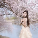 北京旅游 缩略图 1