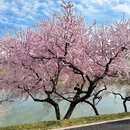 北京旅游 缩略图 3