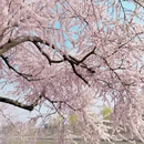 北京旅游 缩略图 8