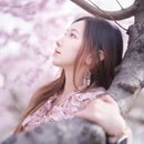 北京旅游 缩略图 7