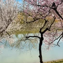 北京旅游 缩略图 6
