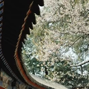 北京旅游 缩略图 1